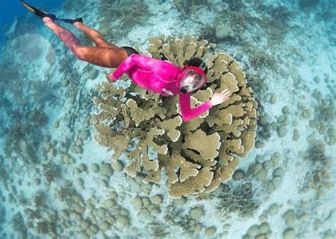 普吉島浮潛怎麼樣:海底世界是否值得一探究竟？